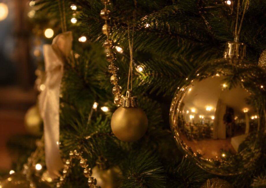 Christmas Evenings at Verdo