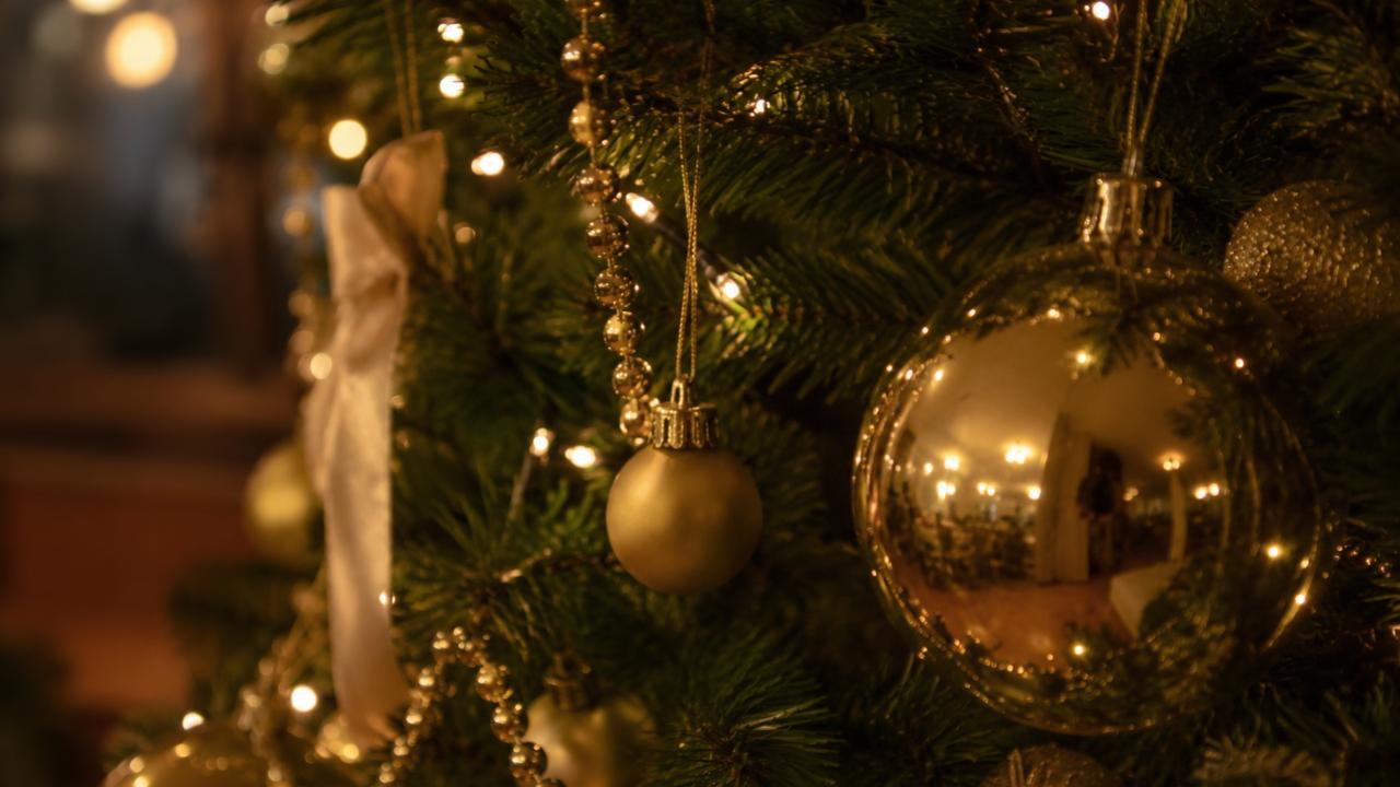 Christmas Evenings at Verdo